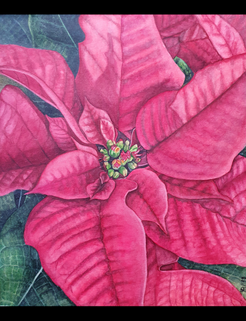 Weihnachtsstern