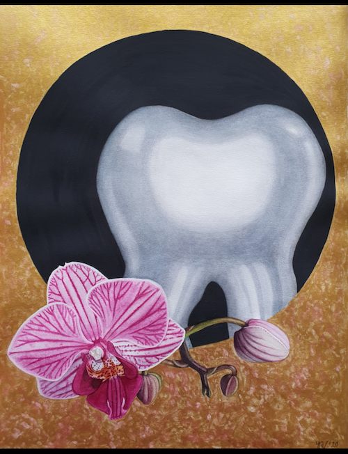 Orchidee